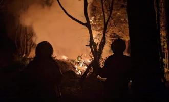 The silhouette of two firefighters at night time stood a short distance from a wildfire spreading amongst trees.